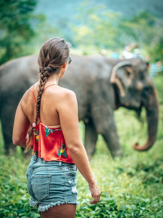 Thailand - Elephant Sanctuary