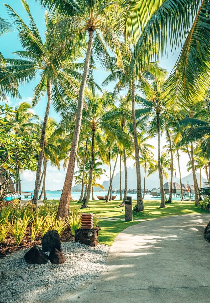four seasons bora bora