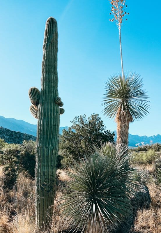Miraval Arizona